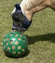 Futterball für Pferde grün Dr. Hentschel Dr. Hentschel Futterball grün