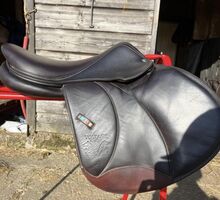 ✨Palm beach Voltaire saddle ✨ Voltaire  Palm beach 