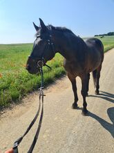 Bedingt reitbarer Beisteller