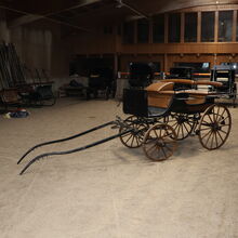 Ungarischer Jagdwagen Pirschwagen Einspänner Leicht Kunstleder Ungarischer Jagdwagen