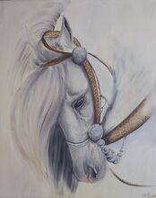 Weisses Pferd gemalt von mir