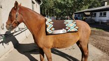 Western Pad Schabracke CSF Comfort Saddle Fit Western Pad mit Azteken Muster / csf 