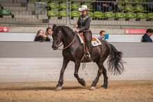 Westernsattel für breite Pferde zu verkaufen EE Saddlery + Tack