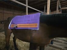 Westernpad in lila