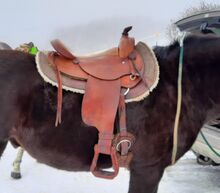 Westernsattel Deuber Nomad Fork2 16 Zoll Deuber und Partner Nomad