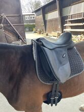 Wintec Sattel Isabel Werth (Cair) Wintec  Isabell Werth