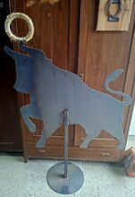 Working equitation Stier