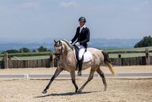 Wunderschöner leistungsbereiter Allrounder