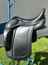 Icelandic Saddle 