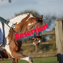 Nachwuchsstar mit überdurchschnittlichen GGA