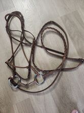 Bridle with bit