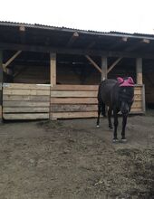 Tack Room & Stable Supplies