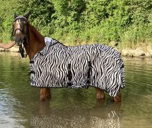 Zebra Fliegendecke mit Halsteil 145cm HKM