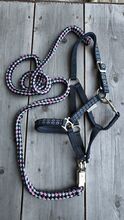 Halfter Set Minishetty o. Fohlen Waldhausen 