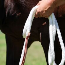 Zilco Bodenarbeitsseil mit Bull Snap Zilco