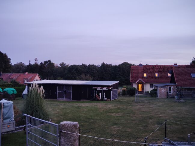 1 Offenstallplatz frei, Nicole , Horses For Sale, Dassow 