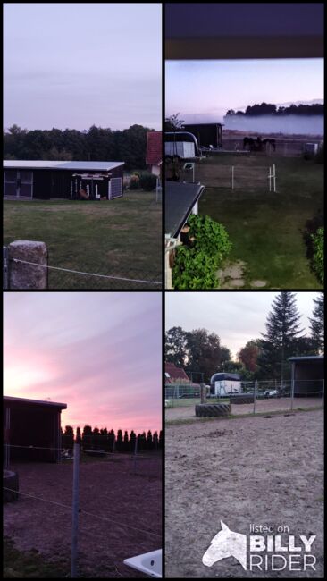 1 Offenstallplatz frei, Nicole , Horses For Sale, Dassow , Image 9