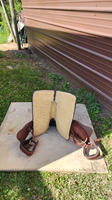 10.5 " kids saddle, Megan, Western Saddle, Mount Sidney, Image 5