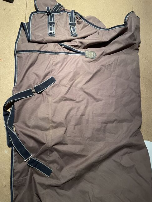 100 Gramm Decke 155cm, Showmaster Jesco II, Danah Schweizer, Horse Blankets, Sheets & Coolers, Leonberg , Image 4