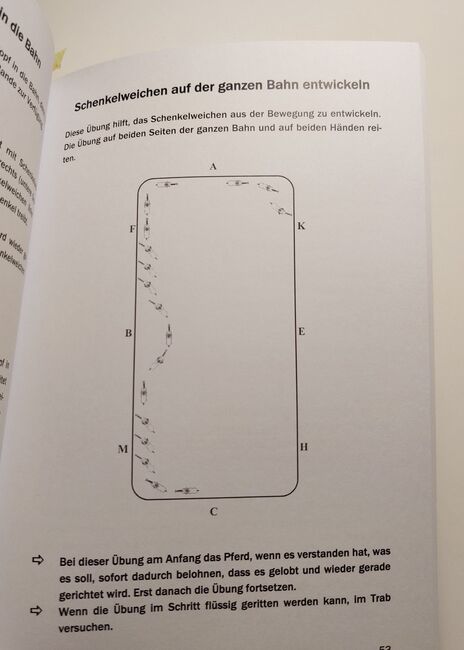 100 Übungen für Freizeit- und Turnierreiter, Emily, Books, Nüziders, Image 2