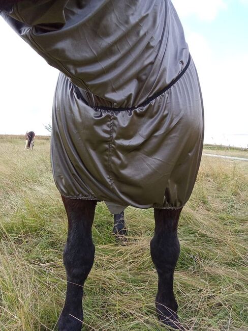 110€% BTS Ekzemerdecke XXXL Kaltblut 175cm 185cm silbergrau, BTS Bywater  Ekzemerdecke für Kaltblüter, Reitartikelbörse (Reitartikelbörse - Onlineshop für Wanderreiter), Derki dla konia, Grevenbroich, Image 2