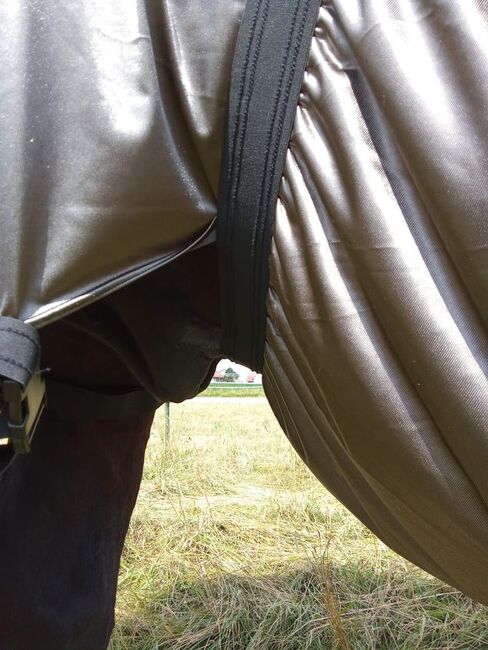110€% BTS Ekzemerdecke XXXL Kaltblut 175cm 185cm silbergrau, BTS Bywater  Ekzemerdecke für Kaltblüter, Reitartikelbörse (Reitartikelbörse - Onlineshop für Wanderreiter), Derki dla konia, Grevenbroich, Image 8