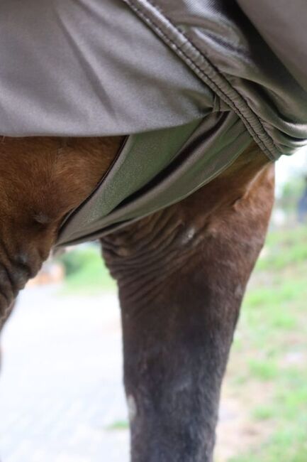 110€% BTS Ekzemerdecke XXXL Kaltblut 175cm 185cm silbergrau, BTS Bywater  Ekzemerdecke für Kaltblüter, Reitartikelbörse (Reitartikelbörse - Onlineshop für Wanderreiter), Horse Blankets, Sheets & Coolers, Grevenbroich, Image 4
