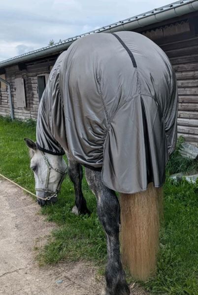 110€% BTS Ekzemerdecke XXXL Kaltblut 175cm 185cm silbergrau, BTS Bywater  Ekzemerdecke für Kaltblüter, Reitartikelbörse (Reitartikelbörse - Onlineshop für Wanderreiter), Horse Blankets, Sheets & Coolers, Grevenbroich, Image 5