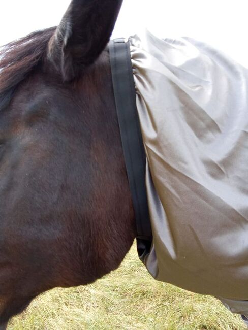 110€% BTS Ekzemerdecke XXXL Kaltblut 175cm 185cm silbergrau, BTS Bywater  Ekzemerdecke für Kaltblüter, Reitartikelbörse (Reitartikelbörse - Onlineshop für Wanderreiter), Horse Blankets, Sheets & Coolers, Grevenbroich, Image 7