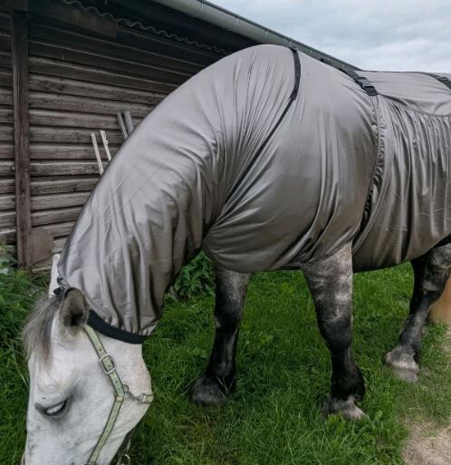 110€% BTS Ekzemerdecke XXXL Kaltblut 175cm 185cm silbergrau, BTS Bywater  Ekzemerdecke für Kaltblüter, Reitartikelbörse (Reitartikelbörse - Onlineshop für Wanderreiter), Pferdedecken, Grevenbroich, Abbildung 3