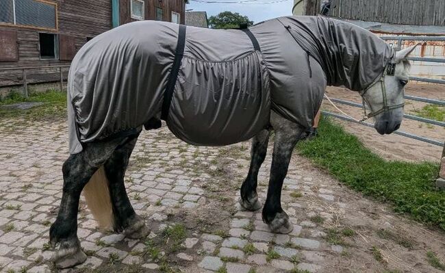 110€% BTS Ekzemerdecke XXXL Kaltblut 175cm 185cm silbergrau, BTS Bywater  Ekzemerdecke für Kaltblüter, Reitartikelbörse (Reitartikelbörse - Onlineshop für Wanderreiter), Pferdedecken, Grevenbroich, Abbildung 6