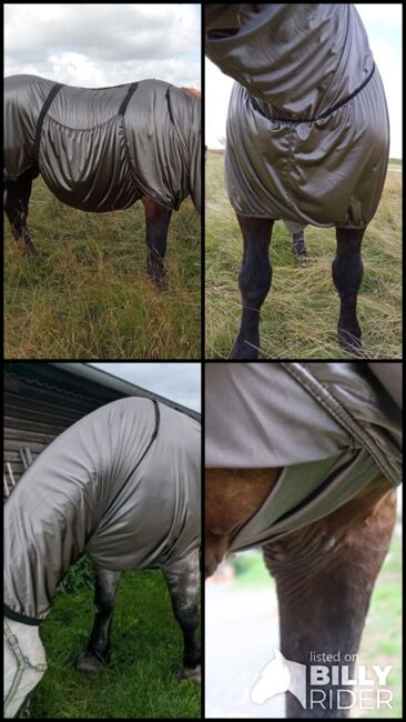 110€% BTS Ekzemerdecke XXXL Kaltblut 175cm 185cm silbergrau, BTS Bywater  Ekzemerdecke für Kaltblüter, Reitartikelbörse (Reitartikelbörse - Onlineshop für Wanderreiter), Pferdedecken, Grevenbroich, Abbildung 9