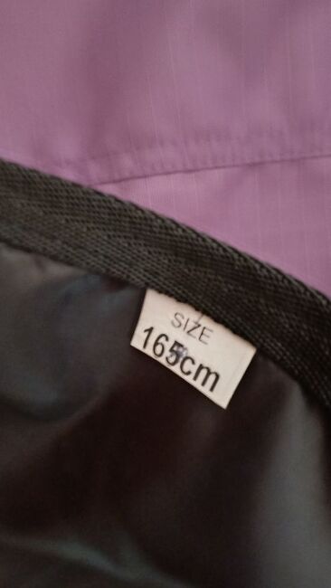 110€ REDUZIERT Highneck Regendecke 600D Fleece purple lila 155 165, BTS Bywater  Higneck Regendecke mit Fleece purple lila, Reitartikelbörse (Reitartikelbörse - Onlineshop für Wanderreiter), Derki dla konia, Grevenbroich, Image 4
