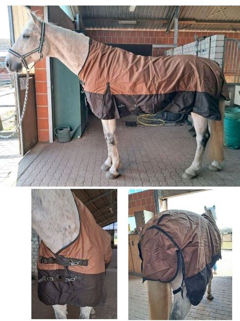 120€% 600D Highneck Regendecke m. Fleece Riders King braun beige 165cm, Riders King 600D Highneck Regendecke personalisierbar mit Fleece, Reitartikelbörse (Reitartikelbörse - Onlineshop für Wanderreiter), Horse Blankets, Sheets & Coolers, Grevenbroich, Image 9