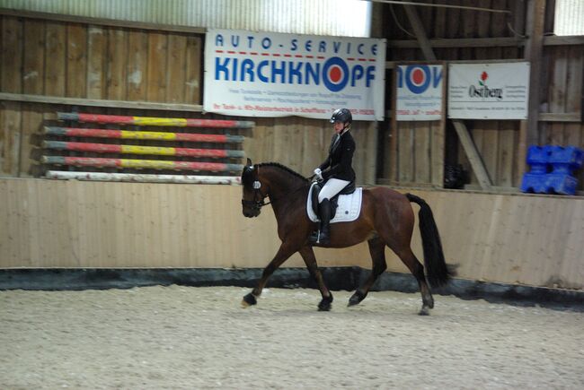 14 Jähriger Allrounder - ca. 1,56, Lilli Wagner, Horses For Sale, Balingen , Image 2