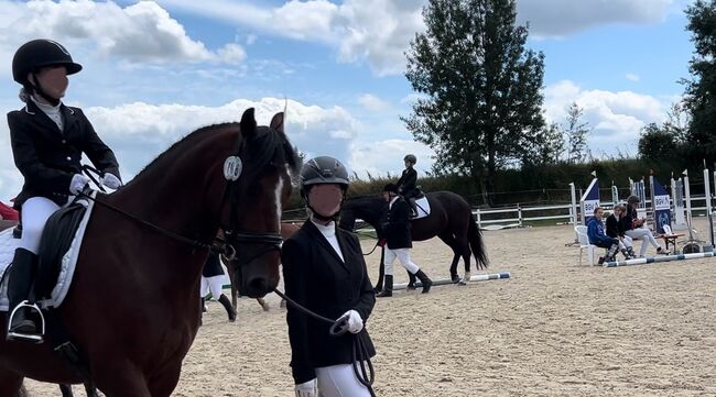 14 Jähriger Allrounder - ca. 1,56, Lilli Wagner, Horses For Sale, Balingen , Image 5
