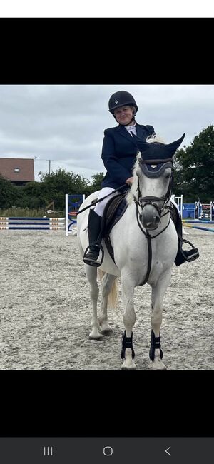 14'1 beautiful connemara pony, Carly, Horses For Sale, East sussex