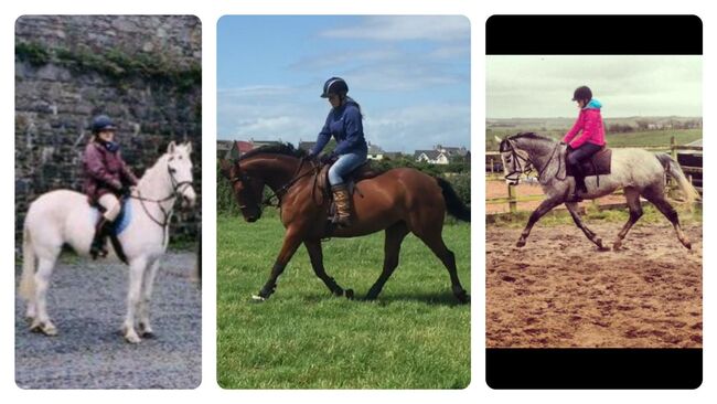 15’1 Bay Horse, Gillian Warnock, Horses For Sale, Ballyhalbert, Image 2