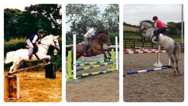 15’1 Bay Horse, Gillian Warnock, Horses For Sale, Ballyhalbert, Image 3