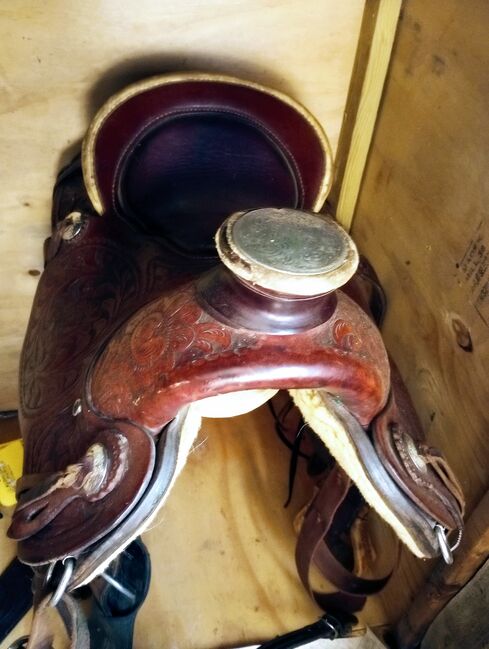 15" Billy Cook Wade, Billy Cook Wade , Casidie Rose, Western Saddle, Nebo, Image 6