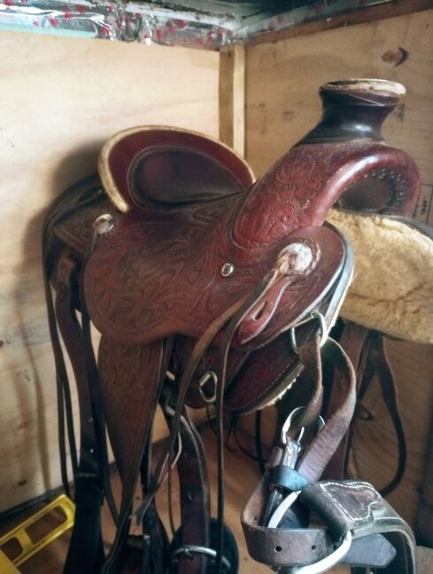 15" Billy Cook Wade, Billy Cook Wade , Casidie Rose, Western Saddle, Nebo, Image 7