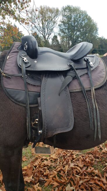 15" black semi bar endurance saddle, Big Horn, Amber, Siodła rajdowe, Lancaster