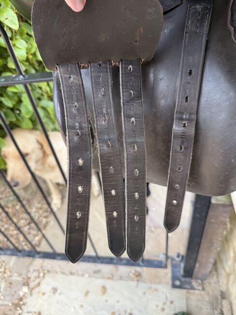15” brown saddle made by master saddler, GP, Hayley Lousada, Pozostałe siodła, Buckinghamshire , Image 3