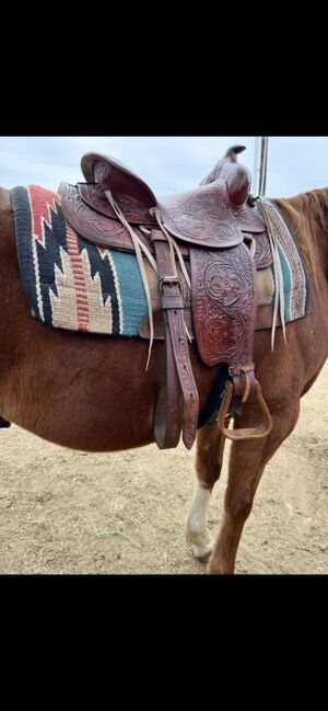 15’ Pleasure Saddle, Andrea Herrera, Western Saddle, San Antonio , Image 2