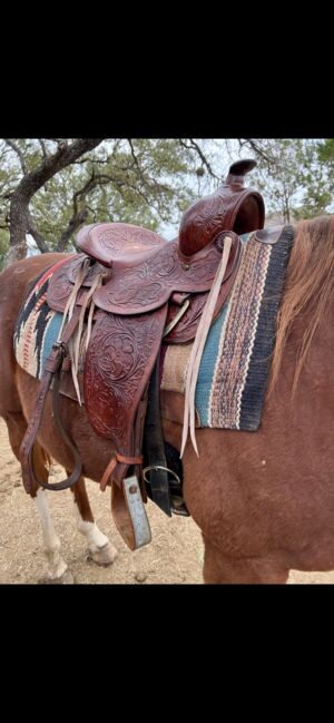 15’ Pleasure Saddle, Andrea Herrera, Western Saddle, San Antonio , Image 3