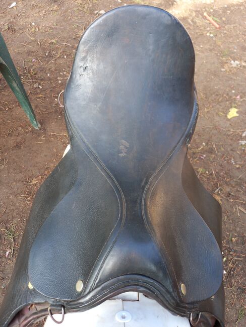 16.5" saddle, Romany Eggerton , Vielseitigkeitssattel (VS), Wakefield , Abbildung 2