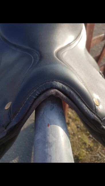 16.5” wintec saddle black, Wintec Wintec, Shelby stokes, All Purpose Saddle, Manchester , Image 3