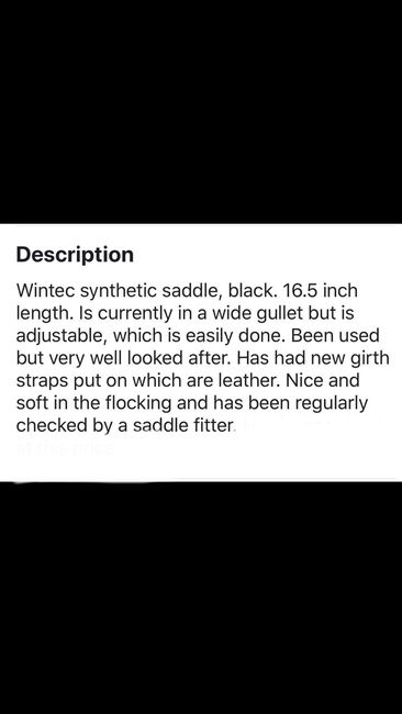 16.5” wintec saddle black, Wintec Wintec, Shelby stokes, All Purpose Saddle, Manchester , Image 8