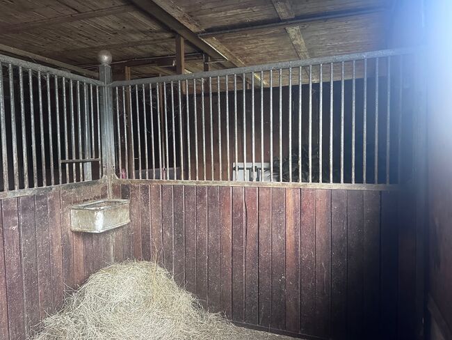 16 Pferdeboxen 3 x 3 m zu verkaufen, Gstaltmayr, Wolfgang Hanreich, Horse & Stable Mats, Steinbrunn, Image 4
