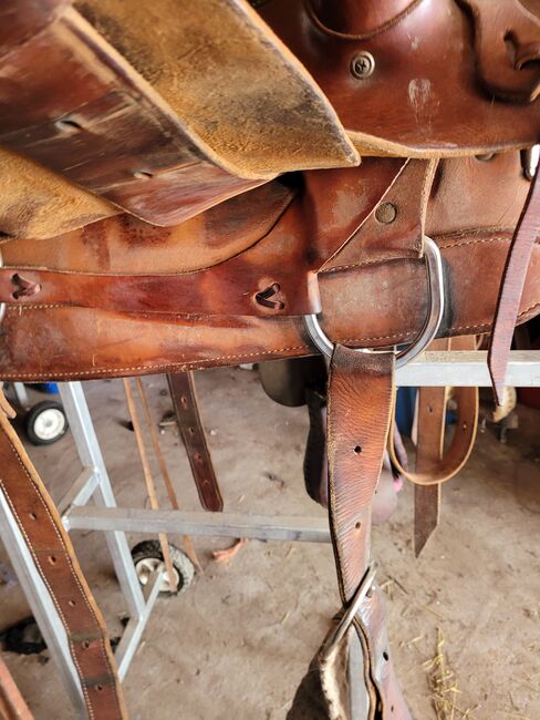 16 in gel seat Colorado roping saddle, Colorado  Comfort Gel seat roper, Dani, Siodło westernowe , Merritt, Image 3